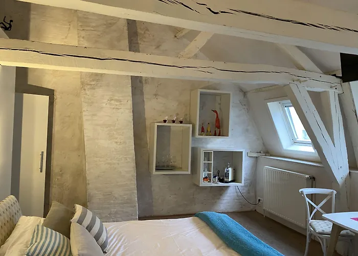 Pensionat Chambreplus Kriski 4*