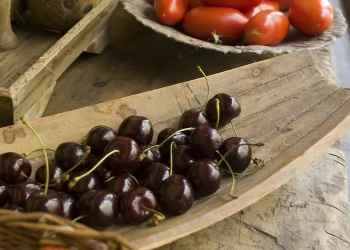 Chambreplus Kriski Gent